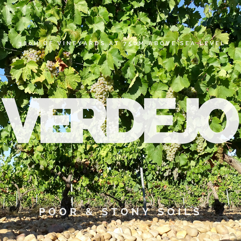 rueda-emporio-wines-2